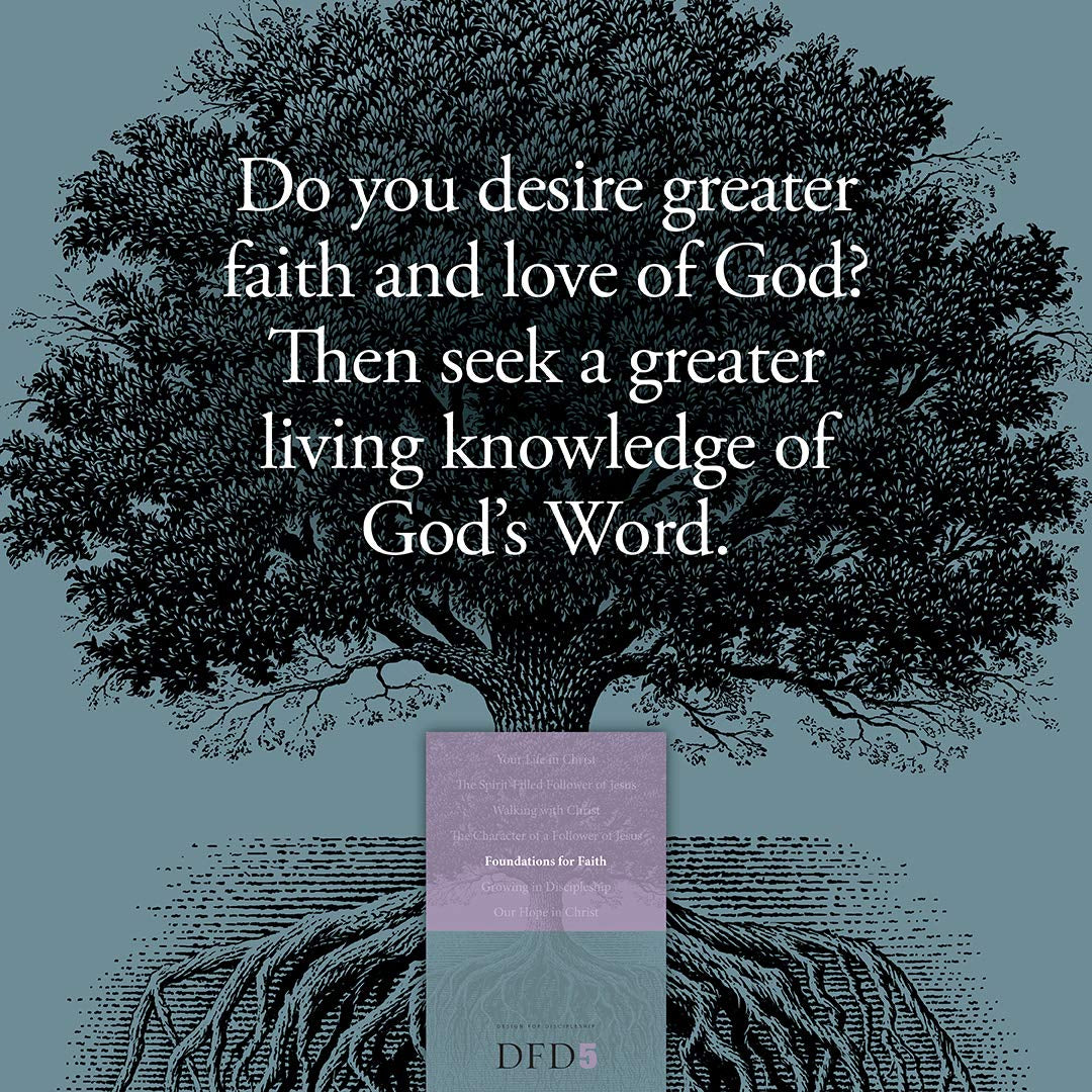 Foundations for Faith (Design for Discipleship)