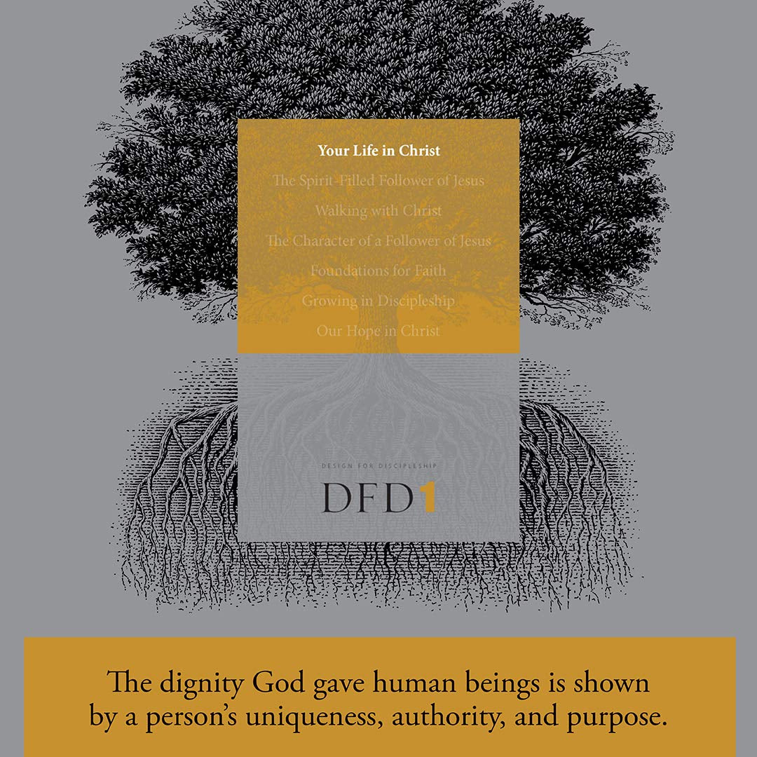 Your Life in Christ (Design for Discipleship)