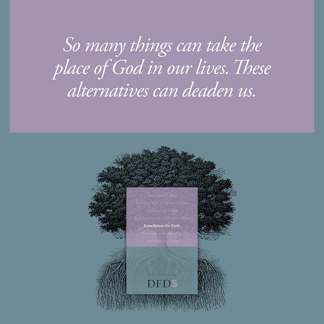 Foundations for Faith (Design for Discipleship)