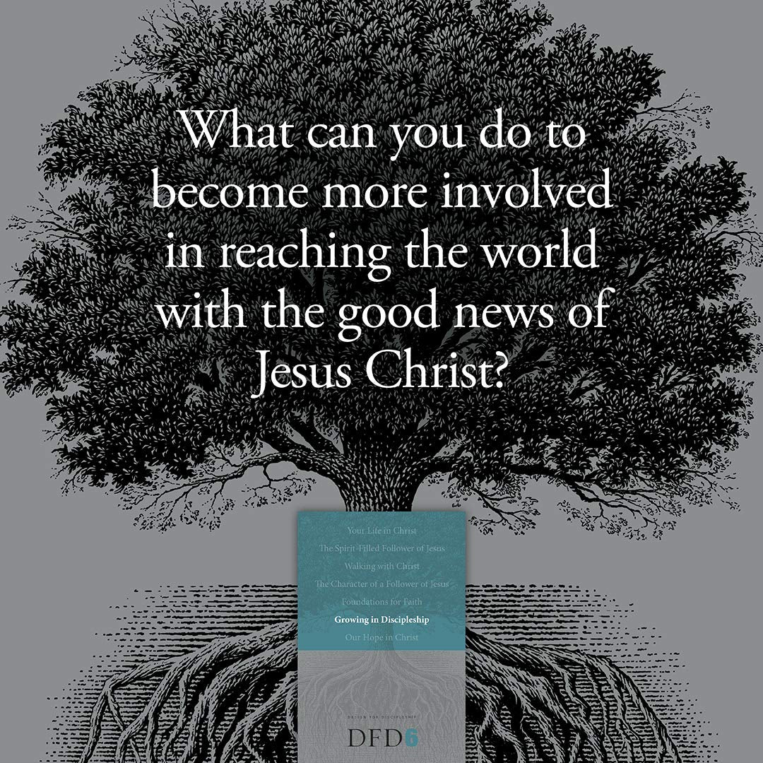 Growing in Discipleship (Design for Discipleship)