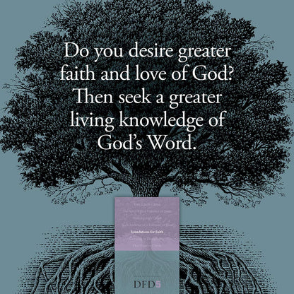 Foundations for Faith (Design for Discipleship)